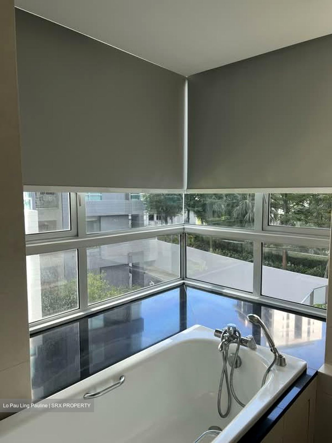 Twin Regency (D3), Condominium #567691071